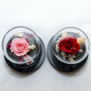CÚPULA CON ROSA PRESERVADA