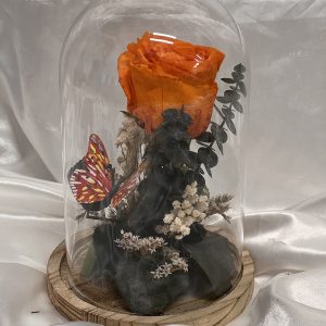 CÚPULA CON ROSA PRESERVADA