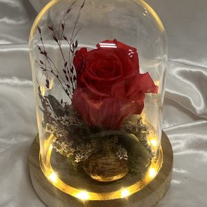 CÚPULA CON LA ROSA ETERNA Y LUZ LED